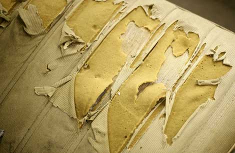 cloth and fabric upholstery repair